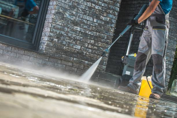 Best Roof Washing  in Cedar Ridge, CA